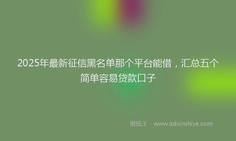 2025年最新征信黑名单那个平台能借，汇总五个简单容易贷款口子