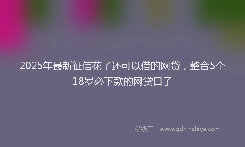 2025年最新征信花了还可以借的网贷，整合5个18岁必下款的网贷口子