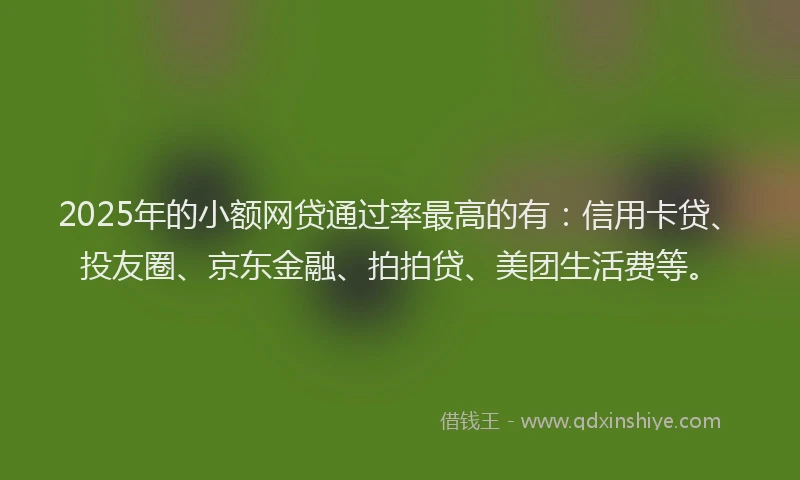 2025年的小额网贷通过率最高的有：信用卡贷、投友圈、京东金融、拍拍贷、美团生活费等。