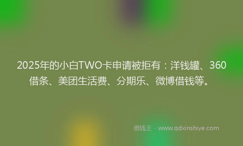 2025年的小白TWO卡申请被拒有：洋钱罐、360借条、美团生活费、分期乐、微博借钱等。