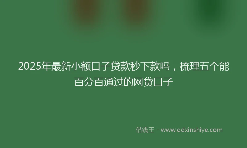 2025年最新小额口子贷款秒下款吗，梳理五个能百分百通过的网贷口子