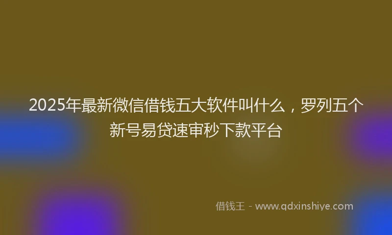 2025年最新微信借钱五大软件叫什么，罗列五个新号易贷速审秒下款平台