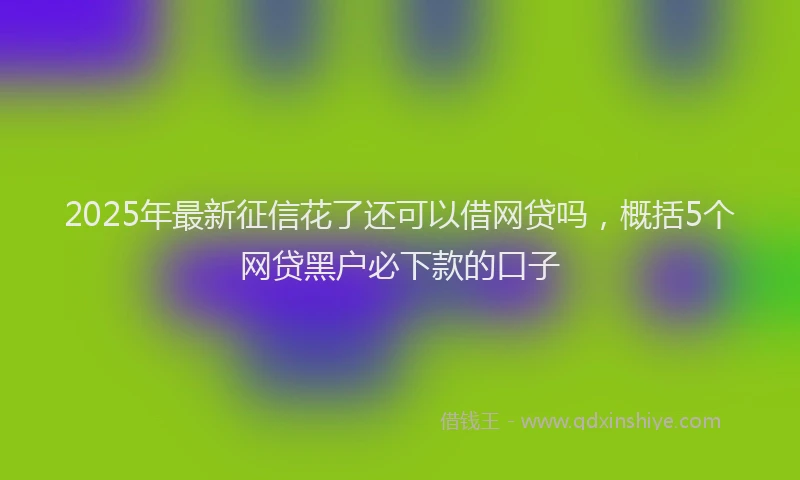 2025年最新征信花了还可以借网贷吗，概括5个网贷黑户必下款的口子