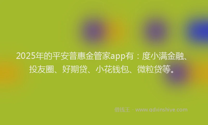2025年的平安普惠金管家app有：度小满金融、投友圈、好期贷、小花钱包、微粒贷等。
