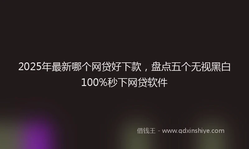 2025年最新哪个网贷好下款，盘点五个无视黑白100%秒下网贷软件