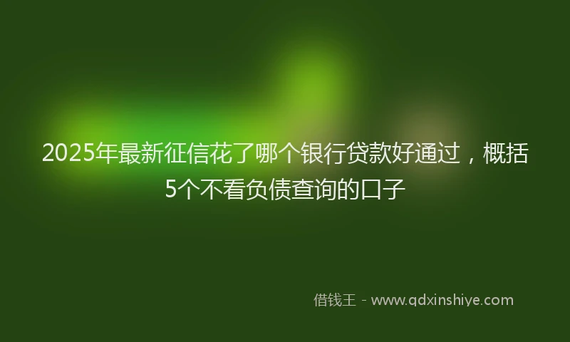 2025年最新征信花了哪个银行贷款好通过，概括5个不看负债查询的口子