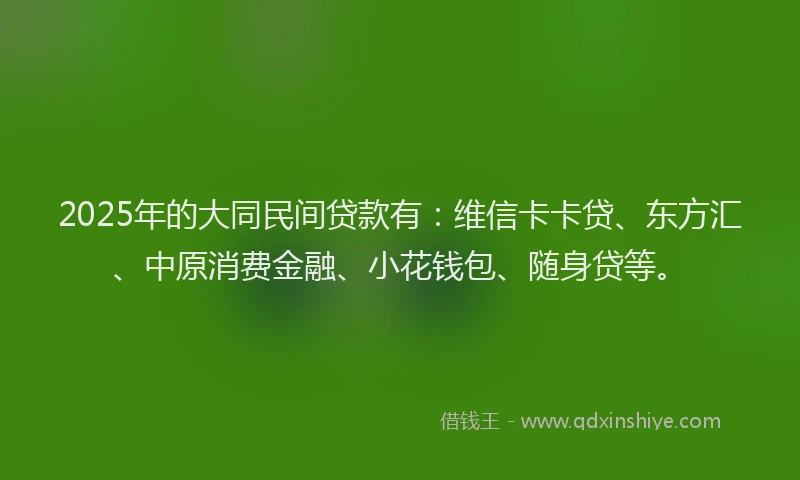 2025年的大同民间贷款有：维信卡卡贷、东方汇、中原消费金融、小花钱包、随身贷等。