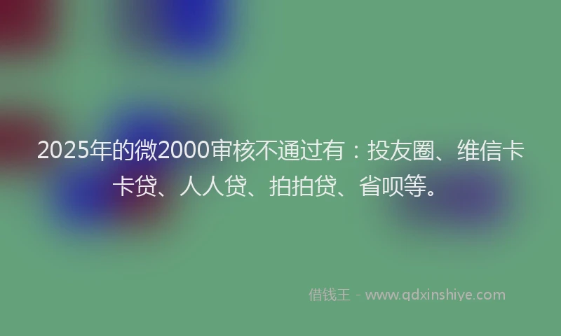 2025年的微2000审核不通过有：投友圈、维信卡卡贷、人人贷、拍拍贷、省呗等。