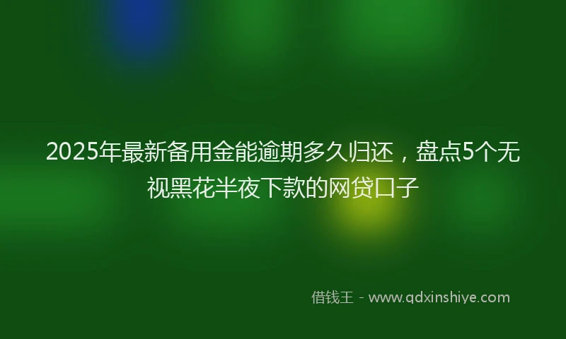 2025年最新备用金能逾期多久归还，盘点5个无视黑花半夜下款的网贷口子