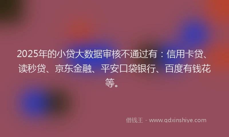 2025年的小贷大数据审核不通过有：信用卡贷、读秒贷、京东金融、平安口袋银行、百度有钱花等。