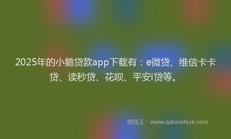 2025年的小鹅贷款app下载有：e微贷、维信卡卡贷、读秒贷、花呗、平安i贷等。