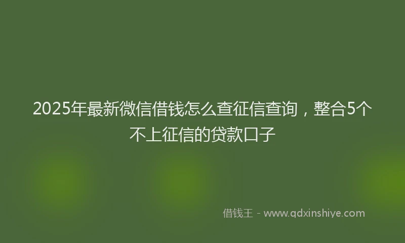 2025年最新微信借钱怎么查征信查询，整合5个不上征信的贷款口子