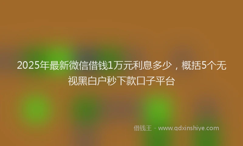 2025年最新微信借钱1万元利息多少，概括5个无视黑白户秒下款口子平台