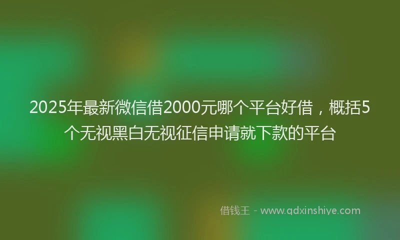 2025年最新微信借2000元哪个平台好借，概括5个无视黑白无视征信申请就下款的平台