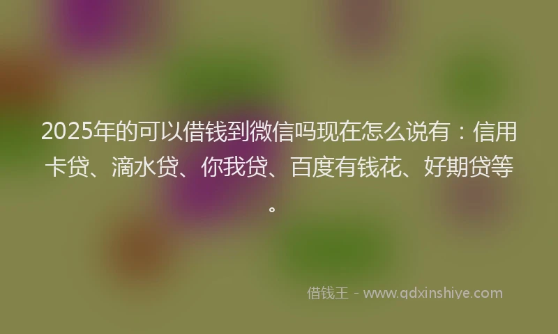 2025年的可以借钱到微信吗现在怎么说有：信用卡贷、滴水贷、你我贷、百度有钱花、好期贷等。