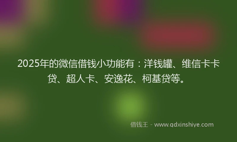 2025年的微信借钱小功能有：洋钱罐、维信卡卡贷、超人卡、安逸花、柯基贷等。