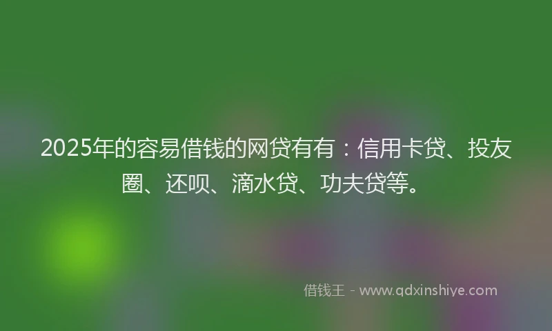 2025年的容易借钱的网贷有有：信用卡贷、投友圈、还呗、滴水贷、功夫贷等。