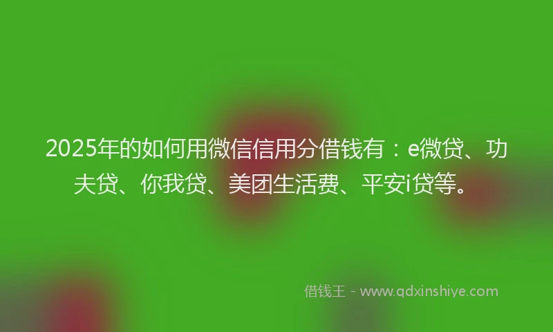 2025年的如何用微信信用分借钱有：e微贷、功夫贷、你我贷、美团生活费、平安i贷等。