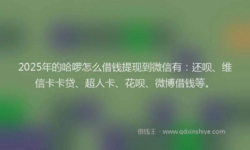 2025年的哈啰怎么借钱提现到微信有：还呗、维信卡卡贷、超人卡、花呗、微博借钱等。