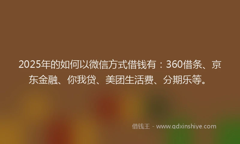 2025年的如何以微信方式借钱有：360借条、京东金融、你我贷、美团生活费、分期乐等。
