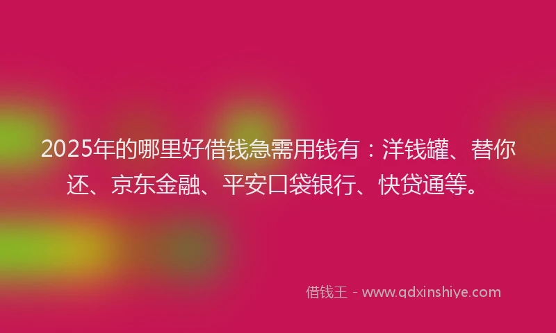2025年的哪里好借钱急需用钱有：洋钱罐、替你还、京东金融、平安口袋银行、快贷通等。