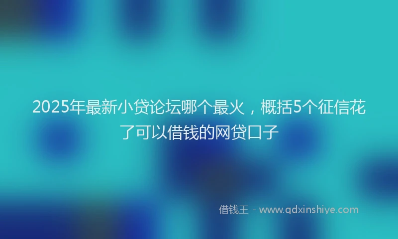 2025年最新小贷论坛哪个最火，概括5个征信花了可以借钱的网贷口子