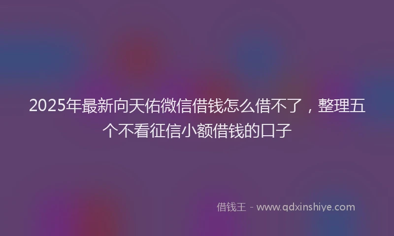 2025年最新向天佑微信借钱怎么借不了，整理五个不看征信小额借钱的口子