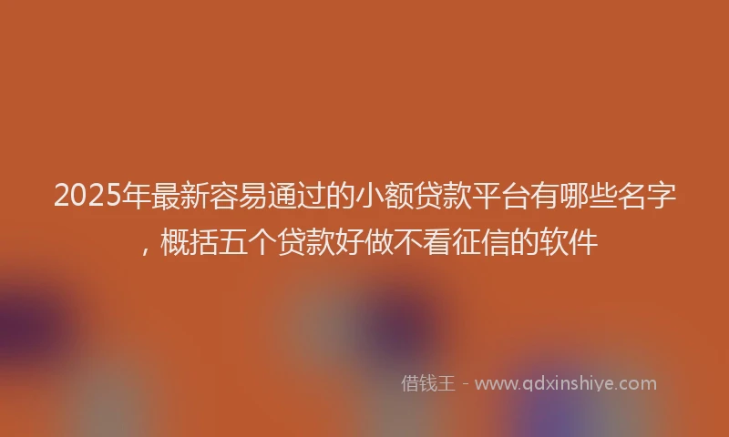 2025年最新容易通过的小额贷款平台有哪些名字，概括五个贷款好做不看征信的软件