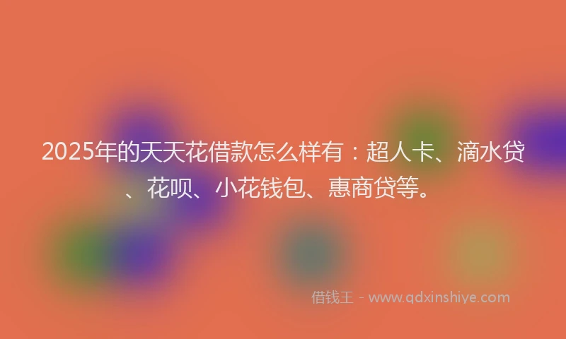 2025年的天天花借款怎么样有：超人卡、滴水贷、花呗、小花钱包、惠商贷等。