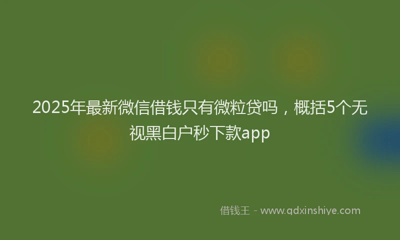 2025年最新微信借钱只有微粒贷吗，概括5个无视黑白户秒下款app