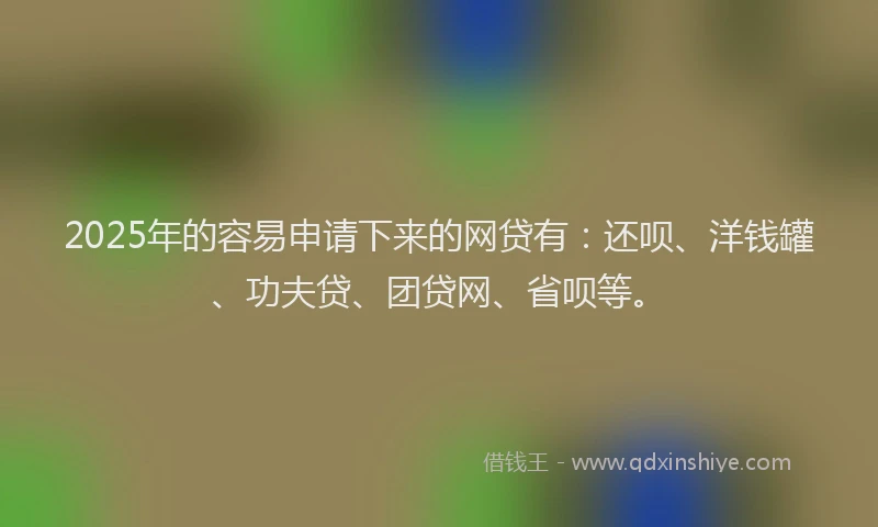 2025年的容易申请下来的网贷有：还呗、洋钱罐、功夫贷、团贷网、省呗等。