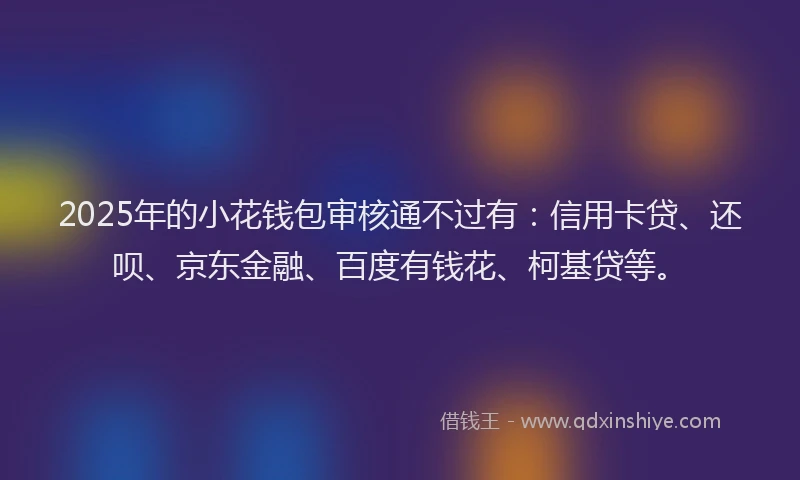 2025年的小花钱包审核通不过有：信用卡贷、还呗、京东金融、百度有钱花、柯基贷等。