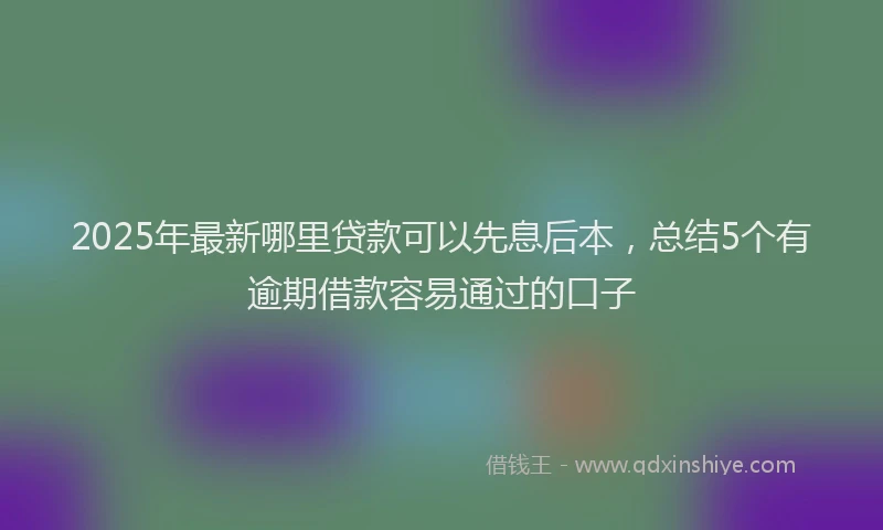2025年最新哪里贷款可以先息后本，总结5个有逾期借款容易通过的口子