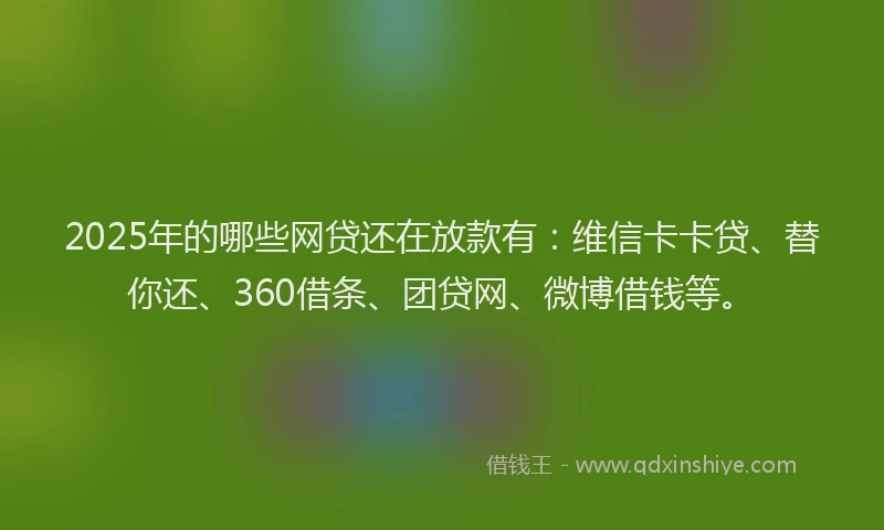 2025年的哪些网贷还在放款有：维信卡卡贷、替你还、360借条、团贷网、微博借钱等。