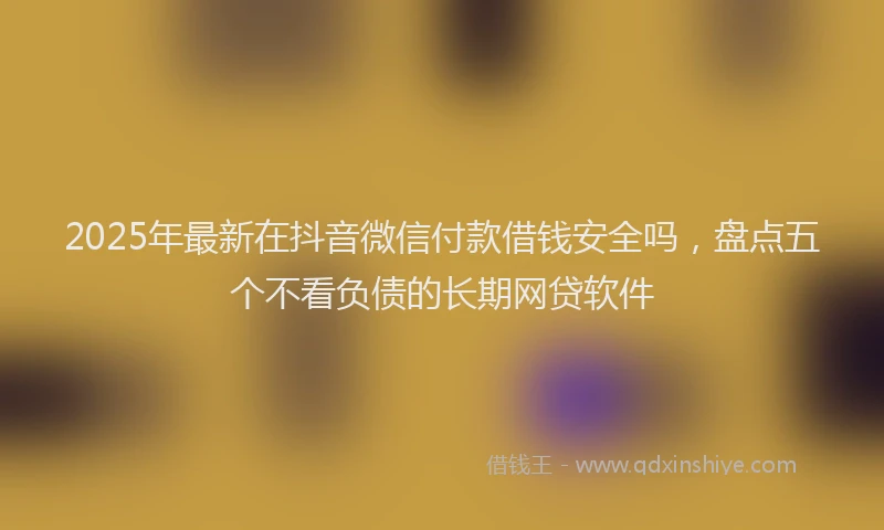 2025年最新在抖音微信付款借钱安全吗，盘点五个不看负债的长期网贷软件