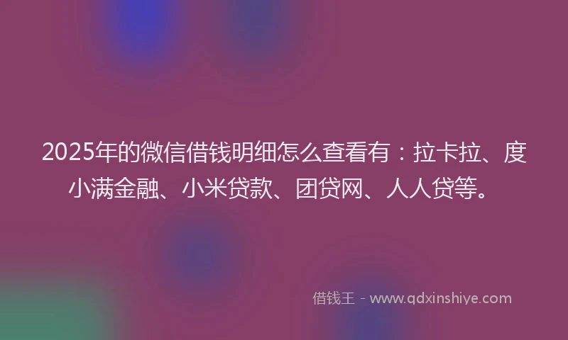 2025年的微信借钱明细怎么查看有：拉卡拉、度小满金融、小米贷款、团贷网、人人贷等。