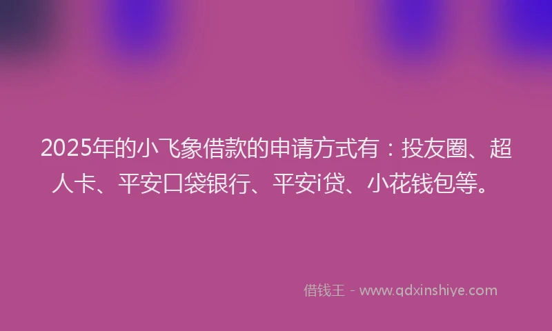 2025年的小飞象借款的申请方式有：投友圈、超人卡、平安口袋银行、平安i贷、小花钱包等。