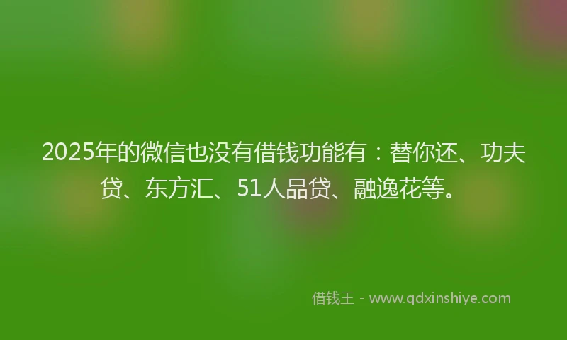2025年的微信也没有借钱功能有：替你还、功夫贷、东方汇、51人品贷、融逸花等。