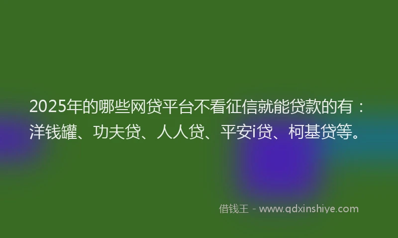 2025年的哪些网贷平台不看征信就能贷款的有：洋钱罐、功夫贷、人人贷、平安i贷、柯基贷等。