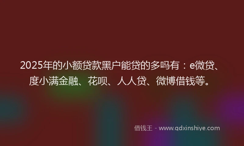 2025年的小额贷款黑户能贷的多吗有：e微贷、度小满金融、花呗、人人贷、微博借钱等。