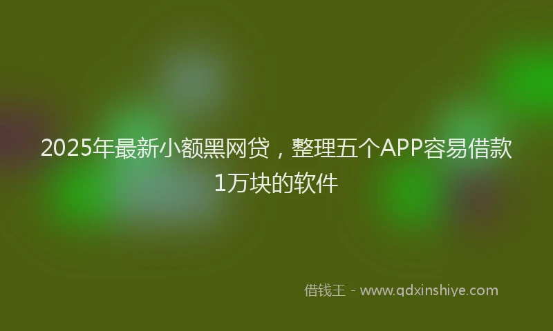 2025年最新小额黑网贷，整理五个APP容易借款1万块的软件