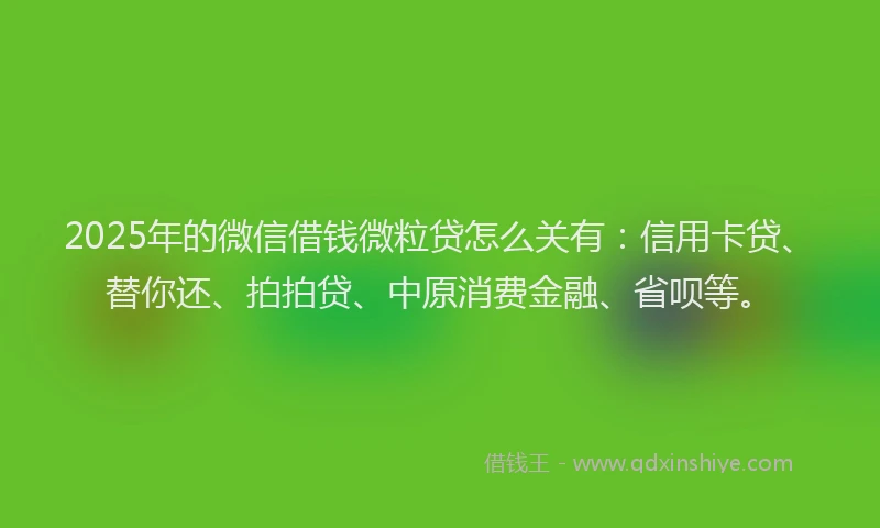 2025年的微信借钱微粒贷怎么关有：信用卡贷、替你还、拍拍贷、中原消费金融、省呗等。