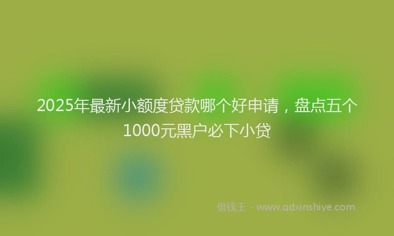 2025年最新小额度贷款哪个好申请，盘点五个1000元黑户必下小贷