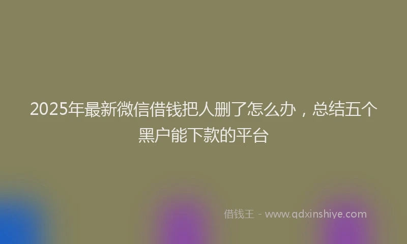 2025年最新微信借钱把人删了怎么办，总结五个黑户能下款的平台