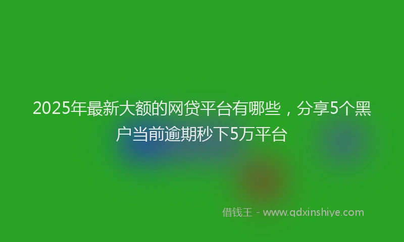 2025年最新大额的网贷平台有哪些，分享5个黑户当前逾期秒下5万平台