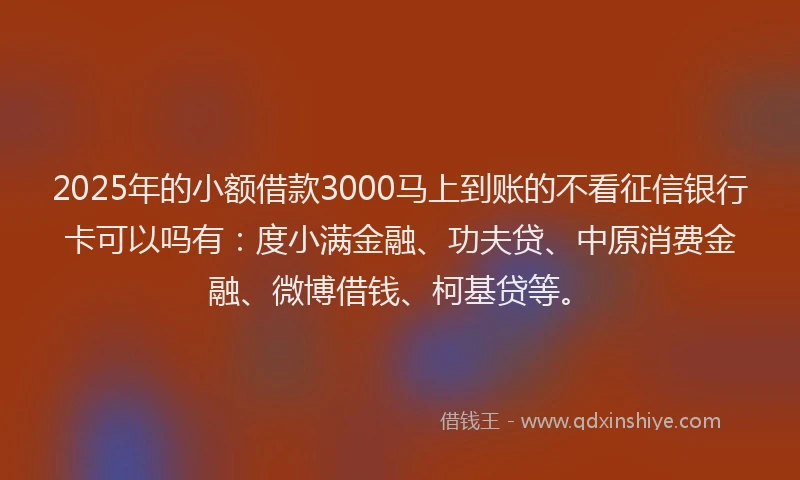 2025年的小额借款3000马上到账的不看征信银行卡可以吗有：度小满金融、功夫贷、中原消费金融、微博借钱、柯基贷等。