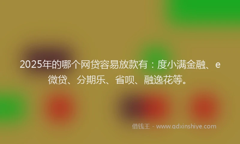 2025年的哪个网贷容易放款有：度小满金融、e微贷、分期乐、省呗、融逸花等。