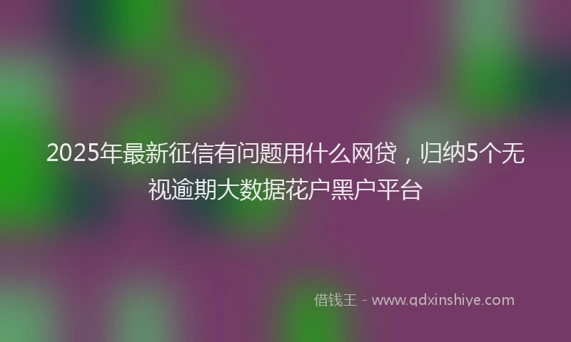 2025年最新征信有问题用什么网贷，归纳5个无视逾期大数据花户黑户平台