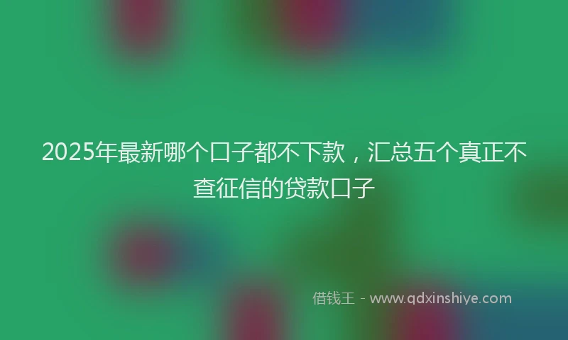 2025年最新哪个口子都不下款，汇总五个真正不查征信的贷款口子