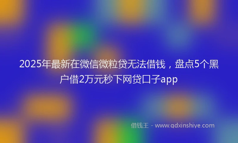 2025年最新在微信微粒贷无法借钱，盘点5个黑户借2万元秒下网贷口子app
